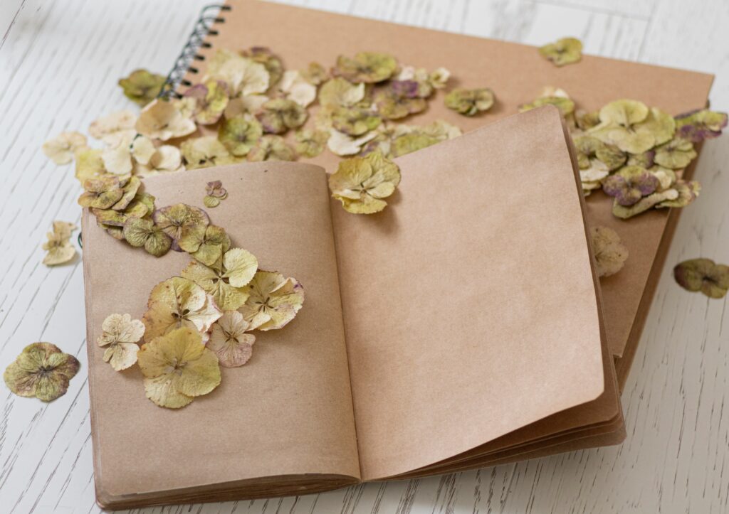 elena mozhvilo NXP87 qcR9M unsplash